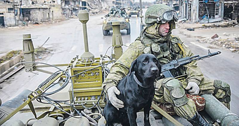 В единой маскировочной расцветке